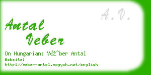 antal veber business card